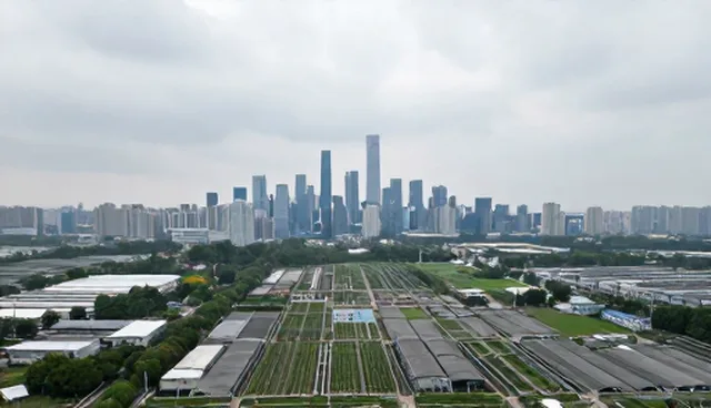 信息系统集成选型：自研与外包的取舍分析