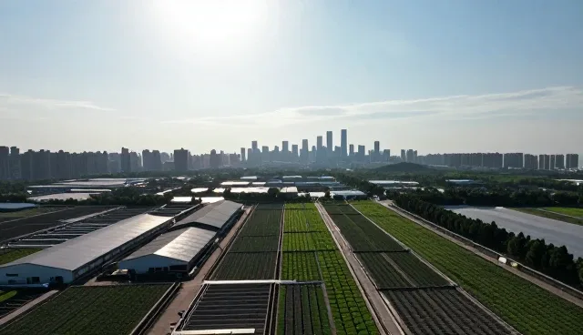 系统实施在应用场景中的适用条件与建议